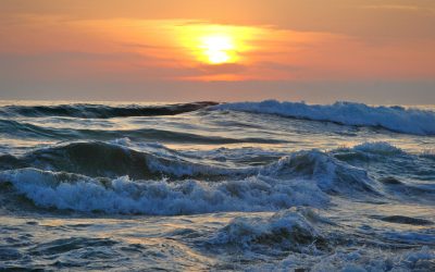 La plage de la Salie Nord rouvre neuf mois après les incendies : une bonne nouvelle pour les surfeurs