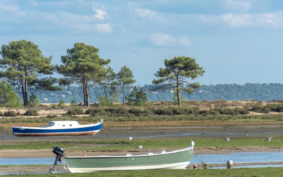 Pyla sur Mer : Quand la Nature Rencontre l’Art pour des Expériences Inoubliables