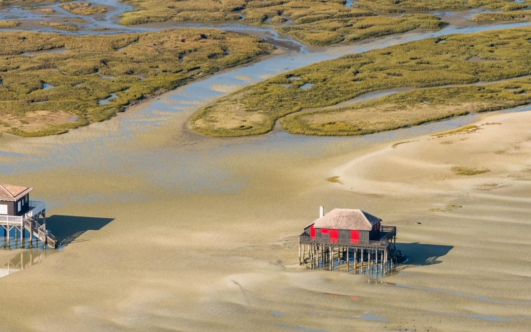 Pyla sur Mer : La Face Cachée des Dunes de Sable