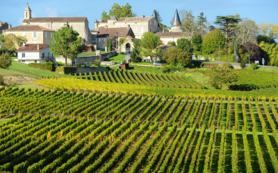 Châteaux bordelais allient tradition viticole, classements mythiques et écologie futuriste